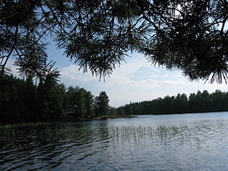 click for enlarge 800 X 600 318,5 Kb picture