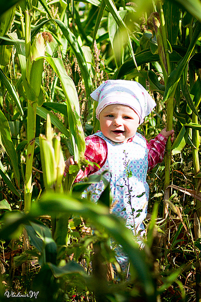 click for enlarge 532 X 800 472,7 Kb picture