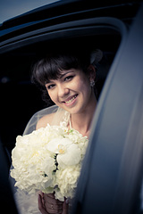 click for enlarge 1920 X 2880 838,5 Kb picture