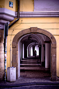 click for enlarge 531 X 800 359,0 Kb picture