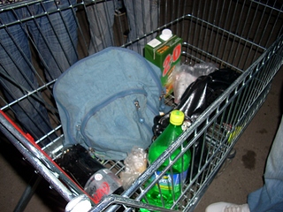 click for enlarge 1024 X 768 408,1 Kb picture