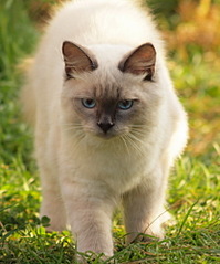click for enlarge 830 X 1000 218,2 Kb picture