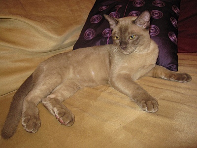 click for enlarge 800 X 600 212,3 Kb picture