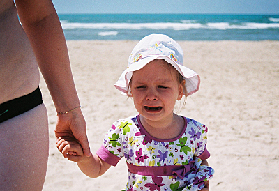 click for enlarge 800 X 548 394,9 Kb picture