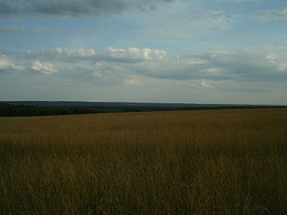 click for enlarge 1600 X 1200 872,0 Kb picture
