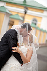 click for enlarge 1920 X 2880 978,3 Kb picture