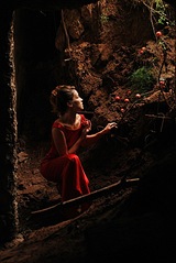 click for enlarge 540 X 807 119,4 Kb picture