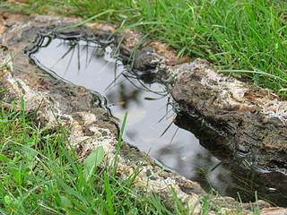 click for enlarge 1920 X 1440 760,3 Kb picture