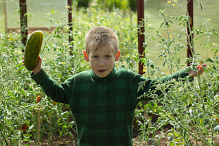 click for enlarge 800 X 533 384,4 Kb picture