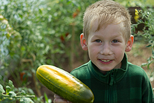 click for enlarge 800 X 533 233,1 Kb picture