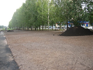 click for enlarge 800 X 600 264,3 Kb picture