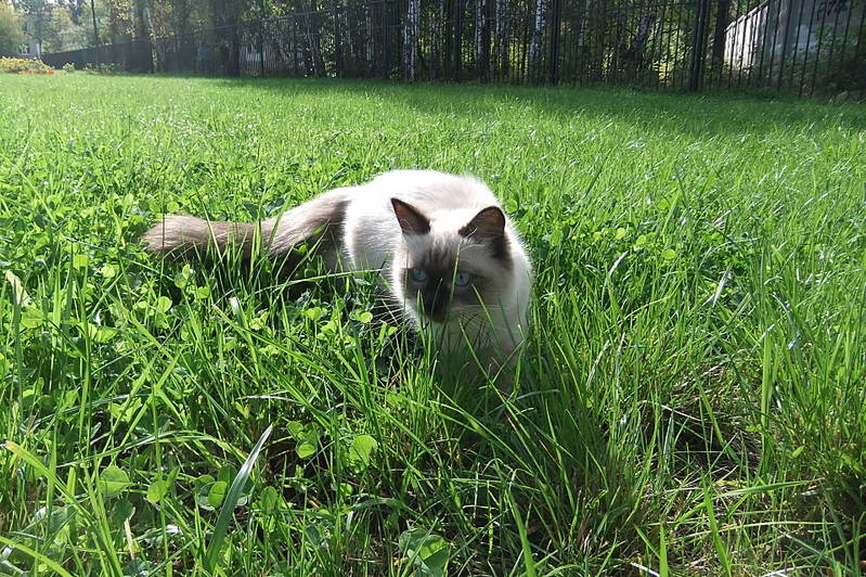 click for enlarge 1920 X 1278 569,8 Kb picture