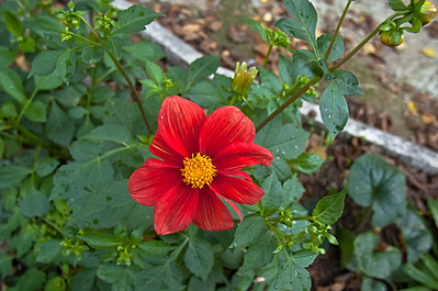 click for enlarge 1920 X 1276 556,3 Kb picture