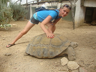 click for enlarge 640 X 480 133,3 Kb picture