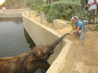 click for enlarge 640 X 480 132,0 Kb picture