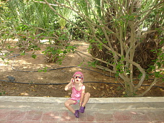 click for enlarge 640 X 480 137,5 Kb picture
