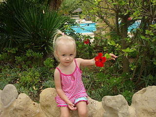 click for enlarge 640 X 480 138,9 Kb picture