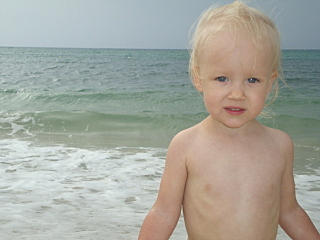 click for enlarge 640 X 480 137,6 Kb picture