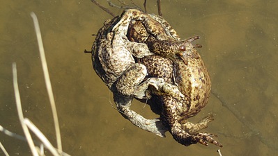 click for enlarge 1200 X 676 198,8 Kb picture
