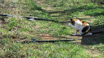 click for enlarge 1200 X 676 528,5 Kb picture