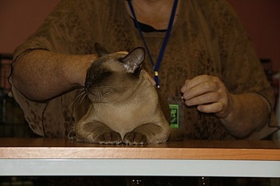 click for enlarge 500 X 333 29,7 Kb picture