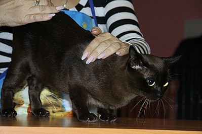 click for enlarge 500 X 333 37,3 Kb picture