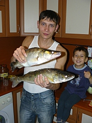 click for enlarge 768 X 1024 385,0 Kb picture