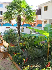 click for enlarge 852 X 1136 553,1 Kb picture