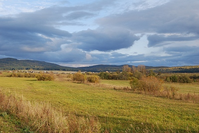 click for enlarge 1500 X 1004 772,6 Kb picture