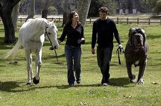 click for enlarge 540 X 358  44,6 Kb picture
