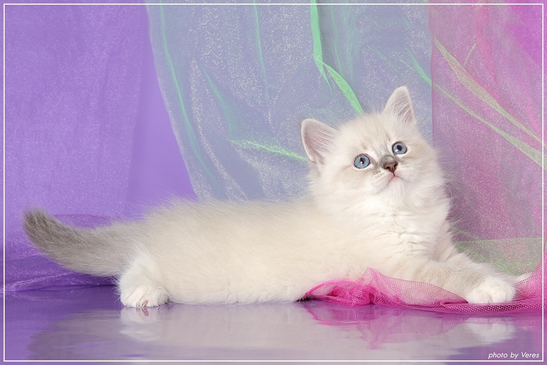 click for enlarge 1024 X 683 273,9 Kb picture