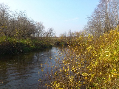 click for enlarge 807 X 605 218,2 Kb picture