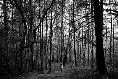 click for enlarge 900 X 600 238,4 Kb picture