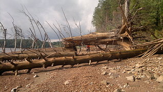 click for enlarge 1920 X 1079 587,0 Kb picture