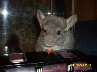 click for enlarge 1920 X 1440 995,9 Kb picture