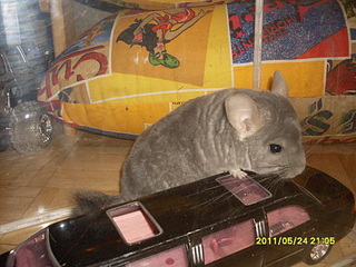 click for enlarge 1920 X 1440 948,0 Kb picture