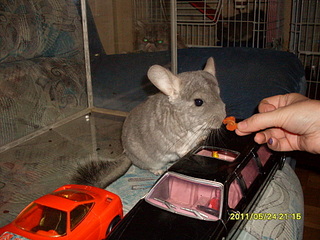 click for enlarge 1920 X 1440 979,3 Kb picture