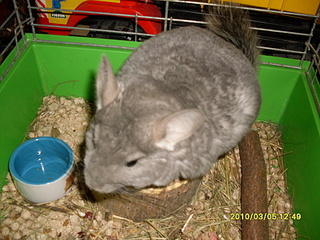 click for enlarge 1920 X 1440 936,1 Kb picture