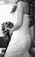 click for enlarge 270 X 440 32,8 Kb picture