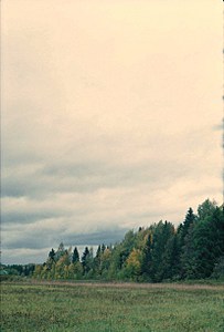 click for enlarge 1654 X 2441 591,5 Kb picture