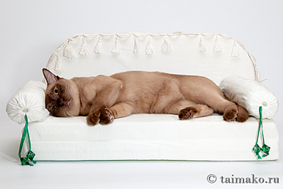 click for enlarge 900 X 600 288,9 Kb picture