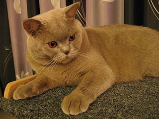 click for enlarge 1600 X 1200 693,3 Kb picture