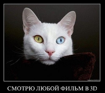 click for enlarge 600 X 529 48,3 Kb picture