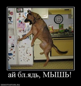 click for enlarge 480 X 508 50,0 Kb picture