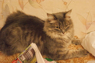click for enlarge 1920 X 1277 866,9 Kb picture