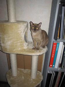 click for enlarge 852 X 1136 129,9 Kb picture