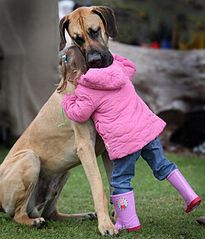click for enlarge 600 X 700 58,1 Kb picture