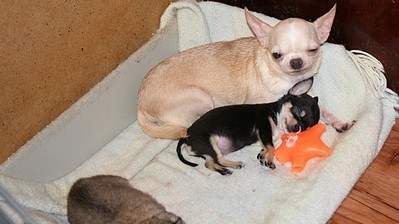 click for enlarge 600 X 337 49,5 Kb picture