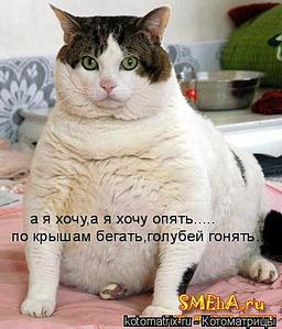 click for enlarge 385 X 450  32,5 Kb picture