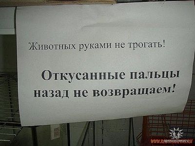 click for enlarge 600 X 450  35,2 Kb picture